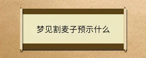 夢(mèng)見(jiàn)割麥子預(yù)示什么