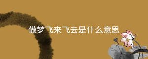 做夢飛來飛去是什么意思