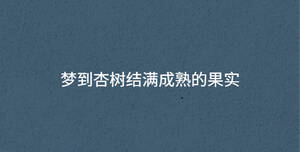夢到杏樹結滿成熟的果實