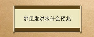 夢(mèng)見(jiàn)發(fā)洪水什么預(yù)兆