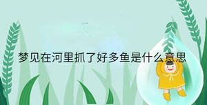夢見在河里抓了好多魚是什么意思
