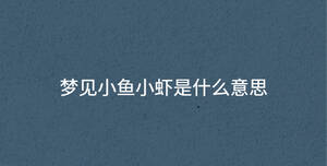 夢(mèng)見(jiàn)小魚(yú)小蝦是什么意思
