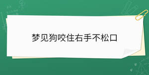 夢見狗咬住右手不松口