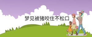 夢見被豬咬住不松口