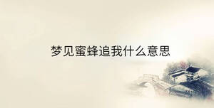 夢見蜜蜂追我什么意思