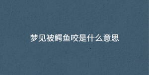 夢見被鱷魚咬是什么意思