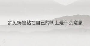 夢見螞蝗粘在自己的腳上是什么意思