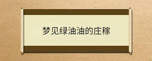 夢見綠油油的莊稼