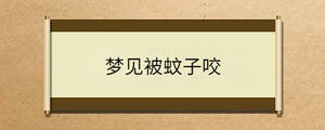 夢(mèng)見(jiàn)被蚊子咬