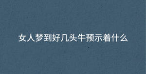 女人夢到好幾頭牛預示著什么