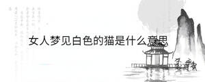 女人夢(mèng)見(jiàn)白色的貓是什么意思