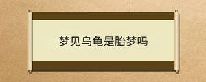 夢(mèng)見烏龜是胎夢(mèng)嗎