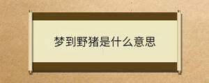 夢(mèng)到野豬是什么意思