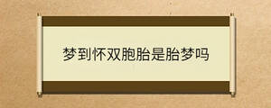 夢(mèng)到懷雙胞胎是胎夢(mèng)嗎