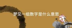 夢(mèng)見一組數(shù)字是什么意思