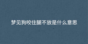 夢見狗咬住腿不放是什么意思