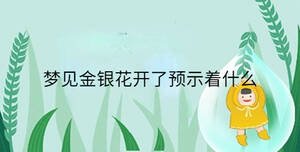 夢見金銀花開了預示著什么