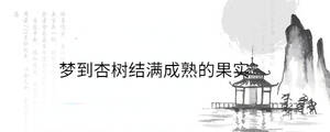 夢到杏樹結滿成熟的果實