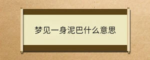 夢見一身泥巴什么意思