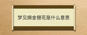 夢(mèng)見(jiàn)摘金銀花是什么意思