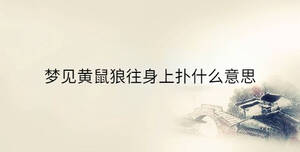傳統 - 2023-06-30T162941.499.jpg