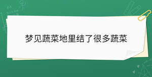 夢見蔬菜地里結(jié)了很多蔬菜