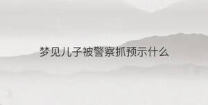 夢見兒子被警察抓預示什么