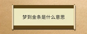 夢到金條是什么意思