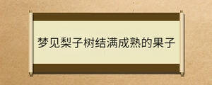 夢見梨子樹結滿成熟的果子