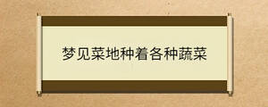 問答 - 2023-07-12T100223.991.jpg