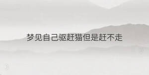 夢見自己驅(qū)趕貓但是趕不走