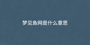 夢見魚網是什么意思