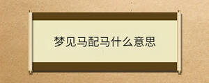 夢見馬配馬什么意思
