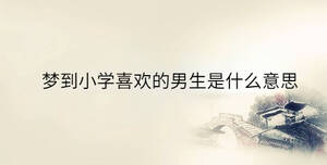 夢(mèng)到小學(xué)喜歡的男生是什么意思