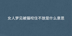 女人夢見被貓咬住不放是什么意思