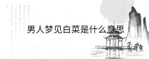 背景圖 - 2023-08-15T105447.165.jpg