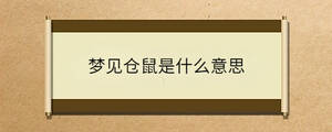夢見倉鼠是什么意思