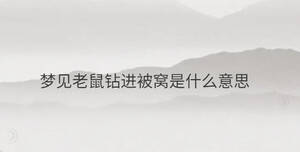 夢見老鼠鉆進(jìn)被窩是什么意思