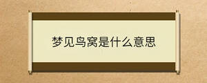 夢(mèng)見(jiàn)鳥(niǎo)窩是什么意思