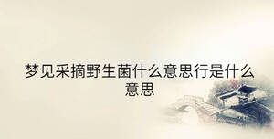 夢見采摘野生菌什么意思