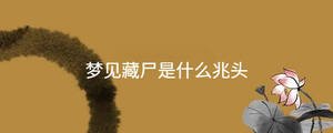 夢(mèng)見(jiàn)藏尸是什么兆頭