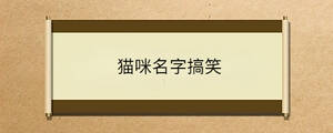 問(wèn)答 - 2023-09-04T142237.680.jpg