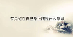 夢(mèng)見(jiàn)蛇在自己身上爬是什么意思